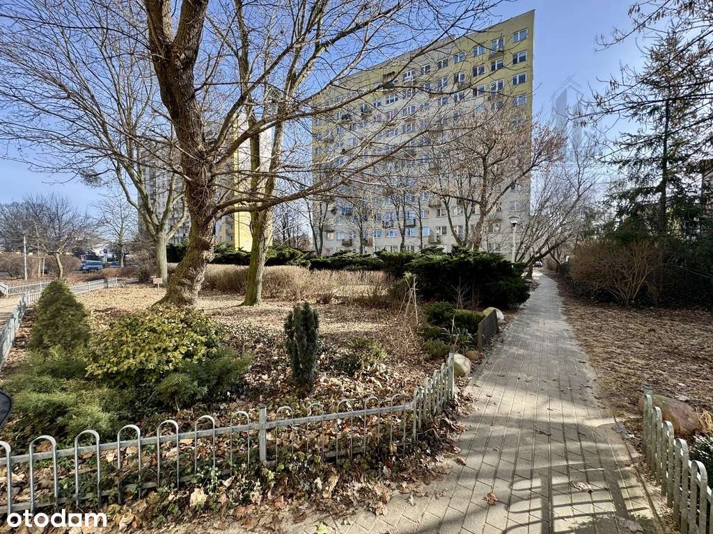 Kompaktowa kawalerka-Blisko UMK i starego miasta-7