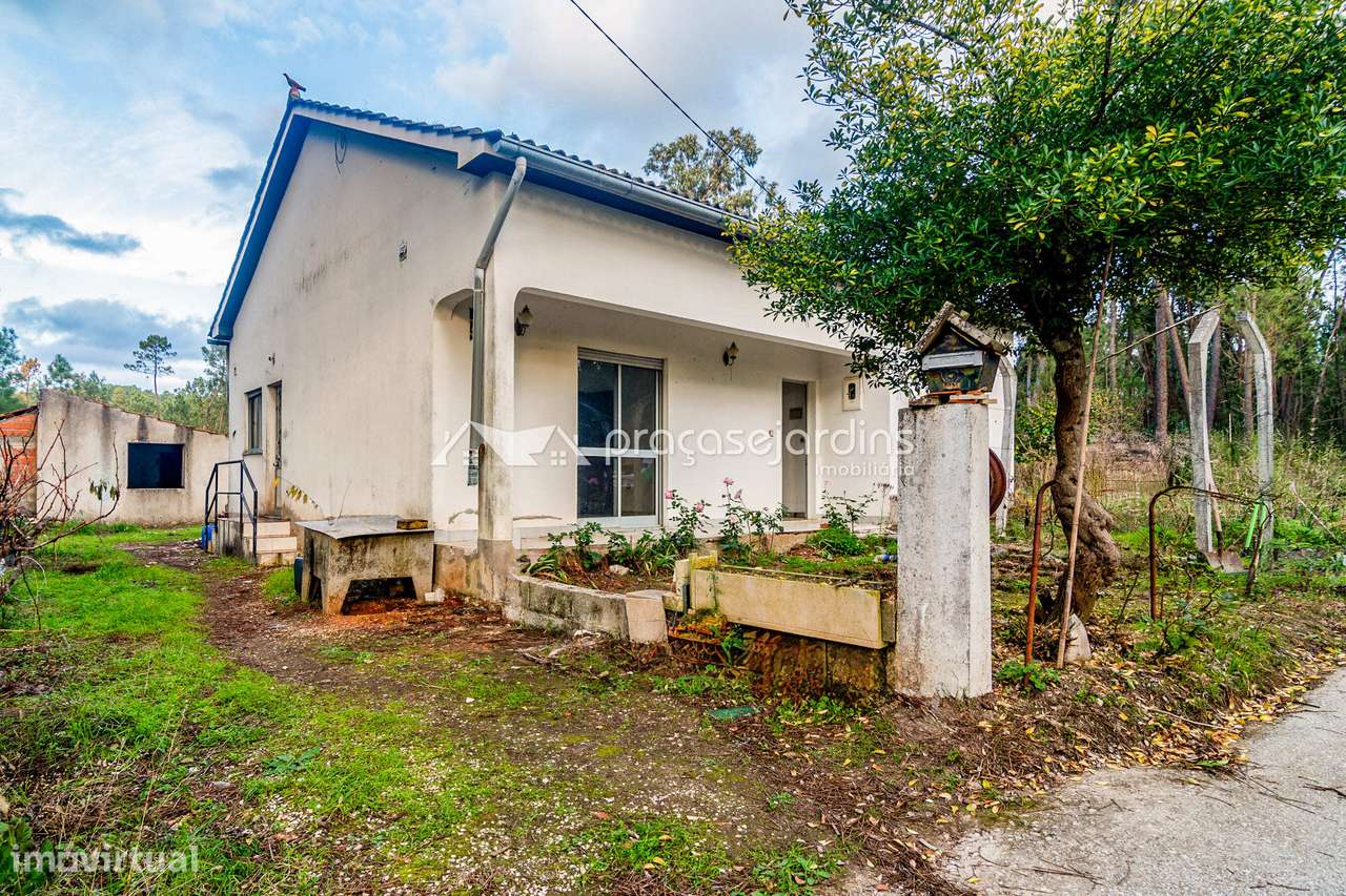 Moradia isolada térrea com anexos e terreno - Grande imagem: 4/22