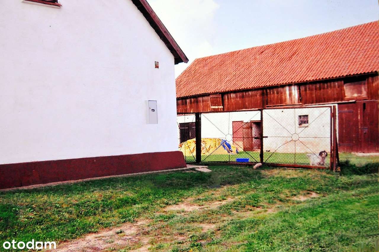 sprzedam działkę 0,5 ha wraz z domem i budynkiem gospodarczym - Pełny obrazek: 2/2