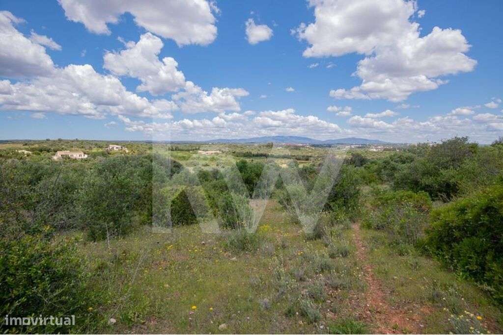 Terreno Rústico - mar a 2,5 kms - Grande imagem: 4/9