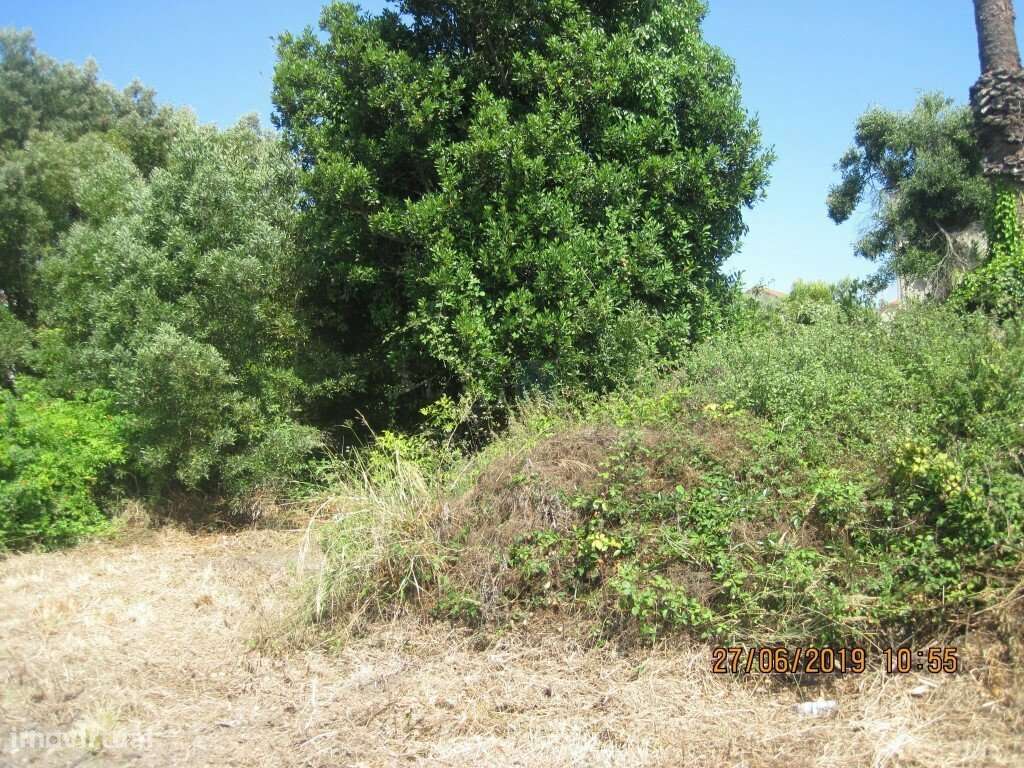 Terreno  c/ 10.000 M2 na Figueira da Foz-20