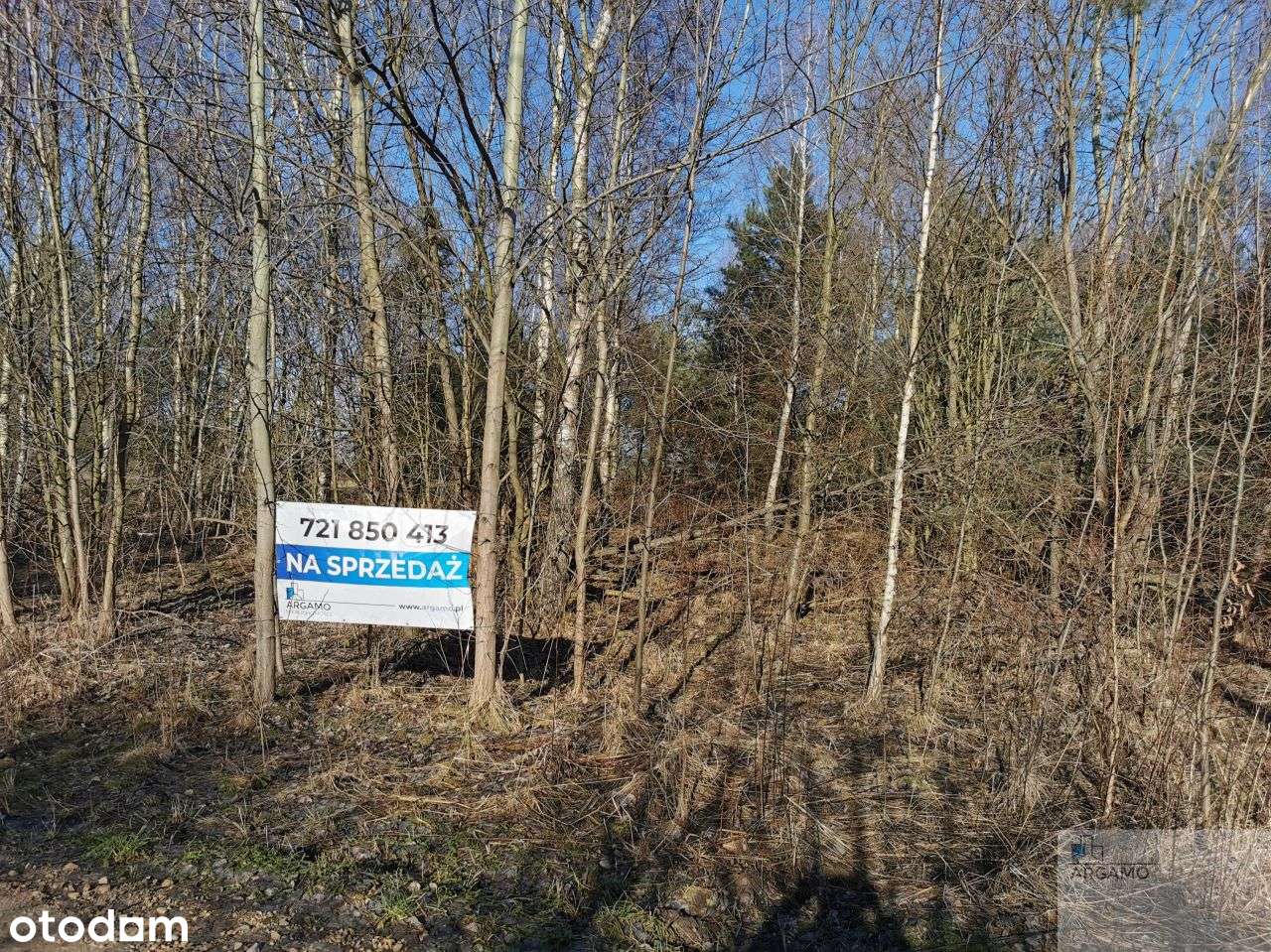 Wspaniałe miejsce na Dom lub inwestycję - Pełny obrazek: 4/4