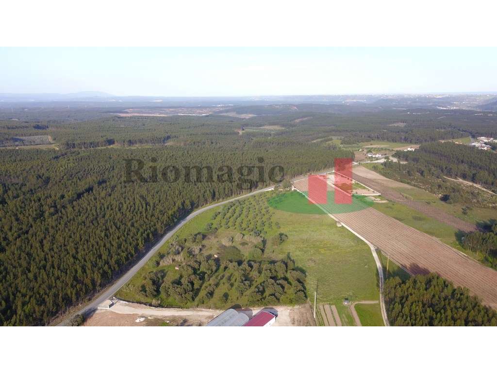 Terreno Rústico em Rio Maior - Grande imagem: 4/14