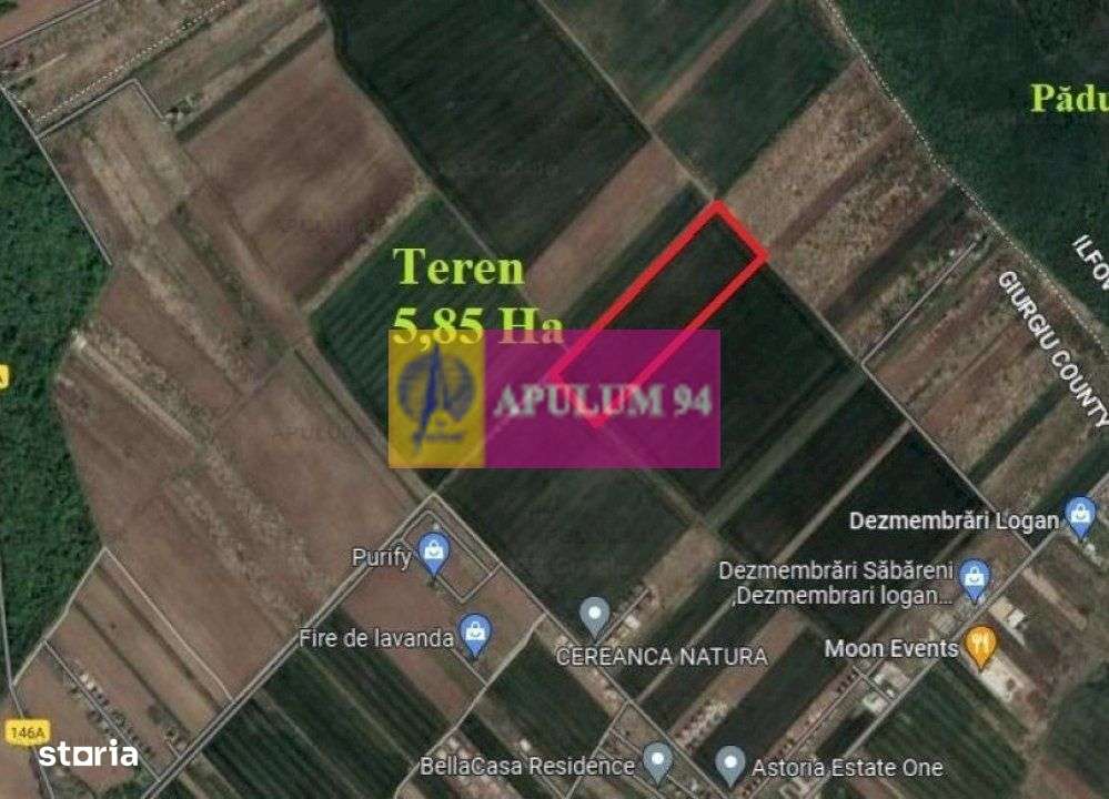 Săbăreni, teren intravilan construibil 5,85 ha, între 2 păduri - Imagine principală: 1/1