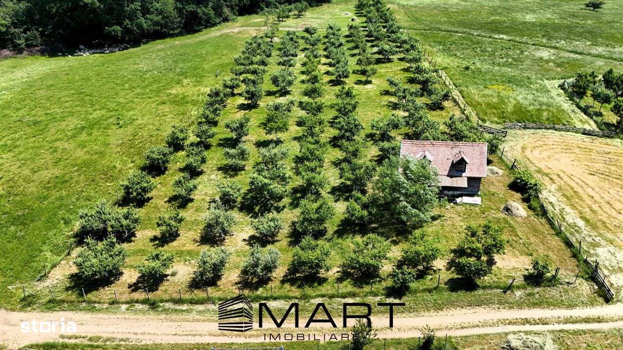 Teren extravilan 5000mp zona Cisnadie - Imagine principală: 2/4