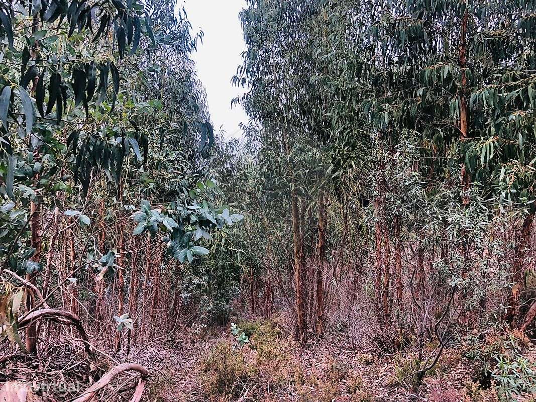 Terreno  para venda - Grande imagem: 2/5