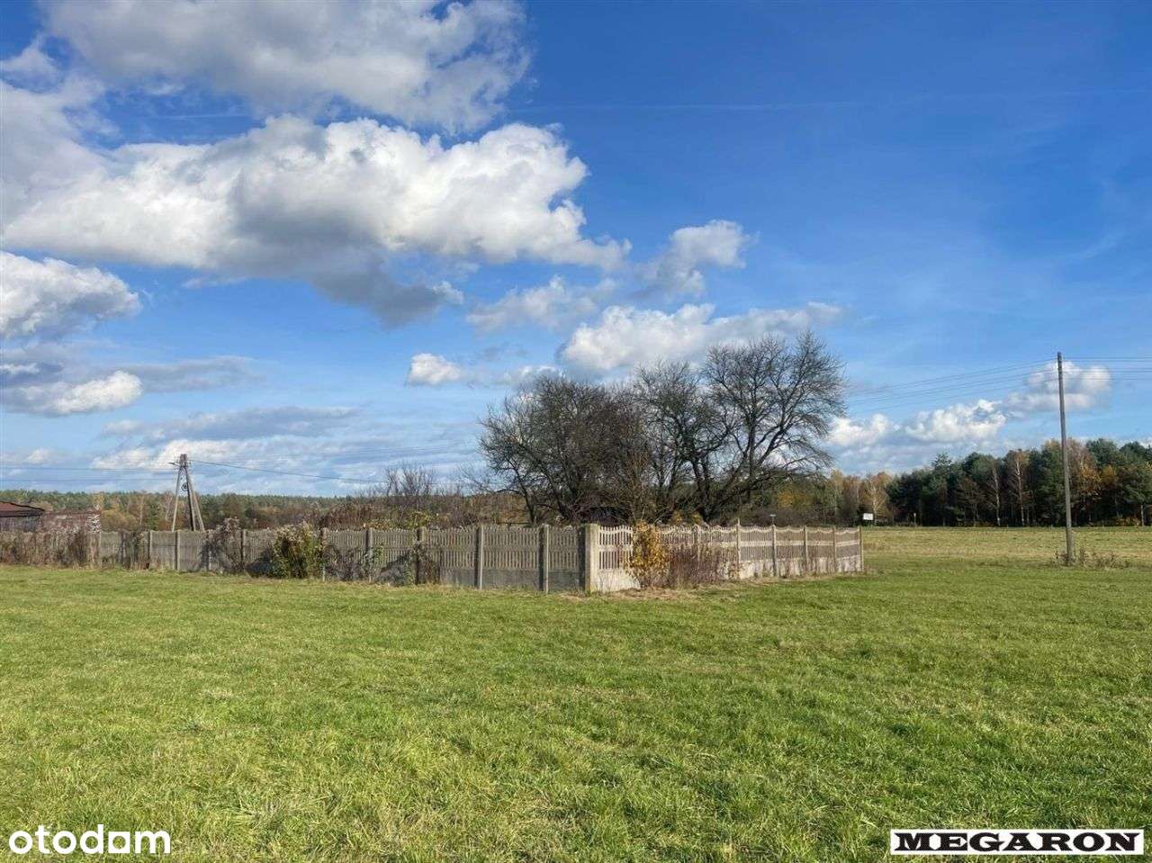 Działka, 16 219 m², Prusicko - Pełny obrazek: 4/10