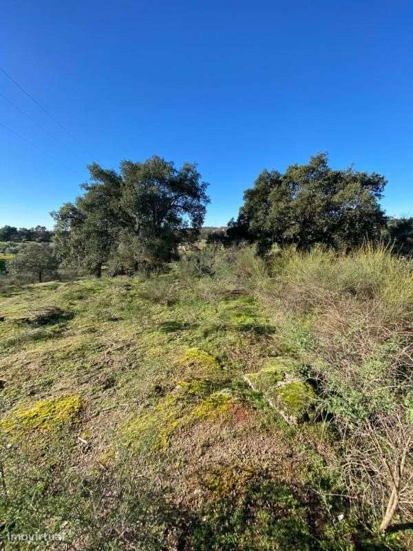 Quinta - Grande imagem: 5/10