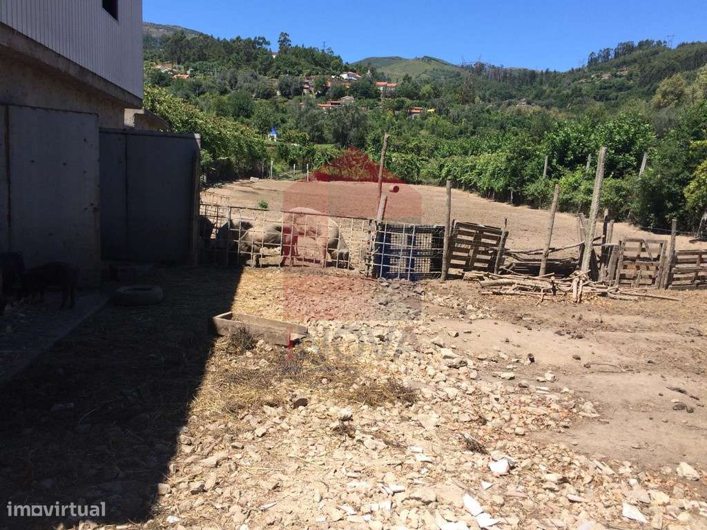 Vende-se Terreno, S. Pedro Valbom - Grande imagem: 5/8
