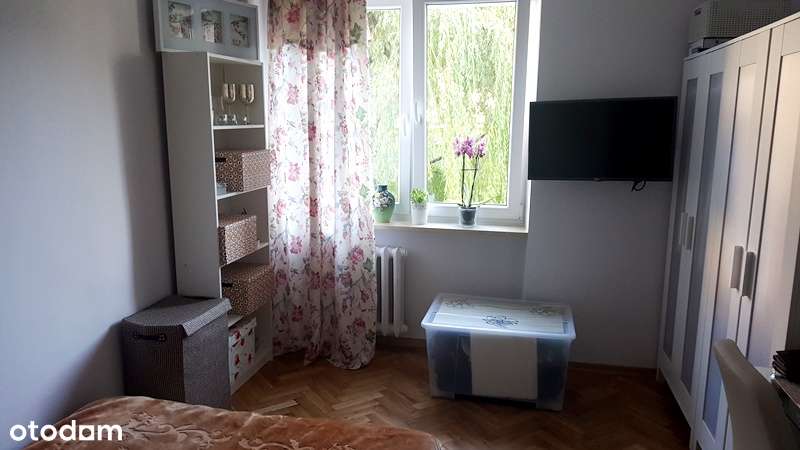 Kawalerka ul. Belwederska, Tramwaj! Przy parku - Pełny obrazek: 1/9