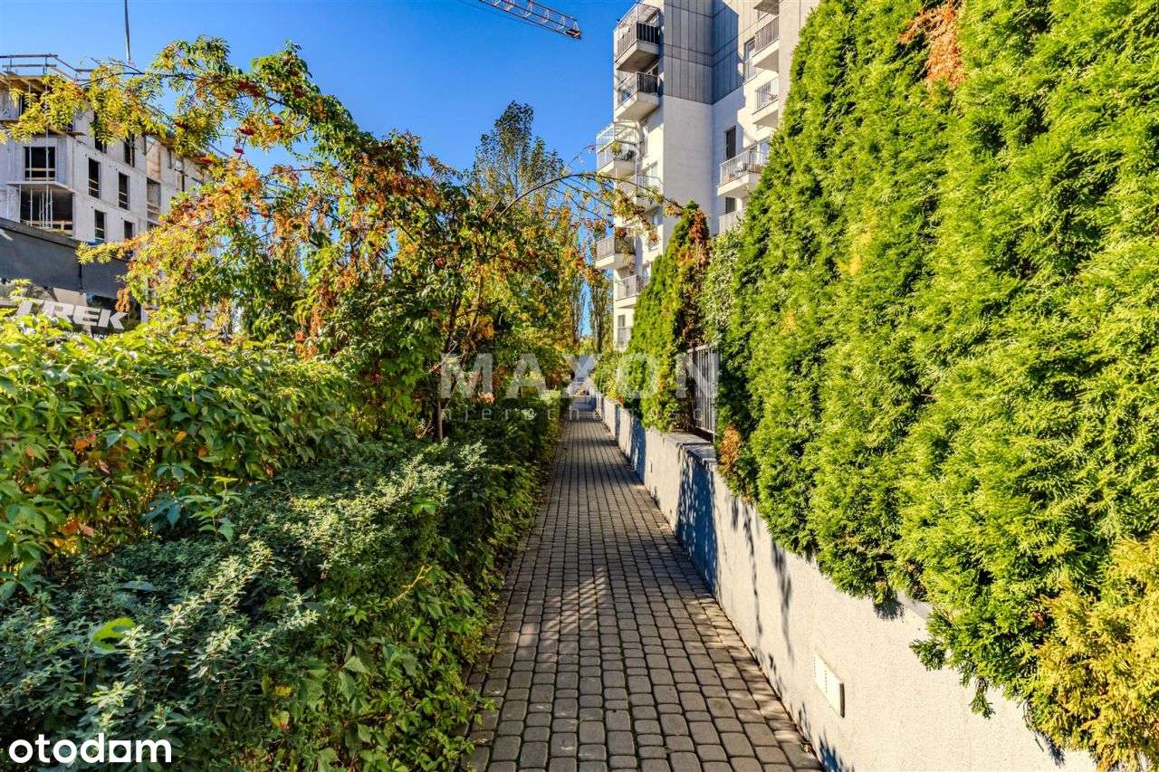 3 pokoje - blisko do centrum - Pełny obrazek: 3/18