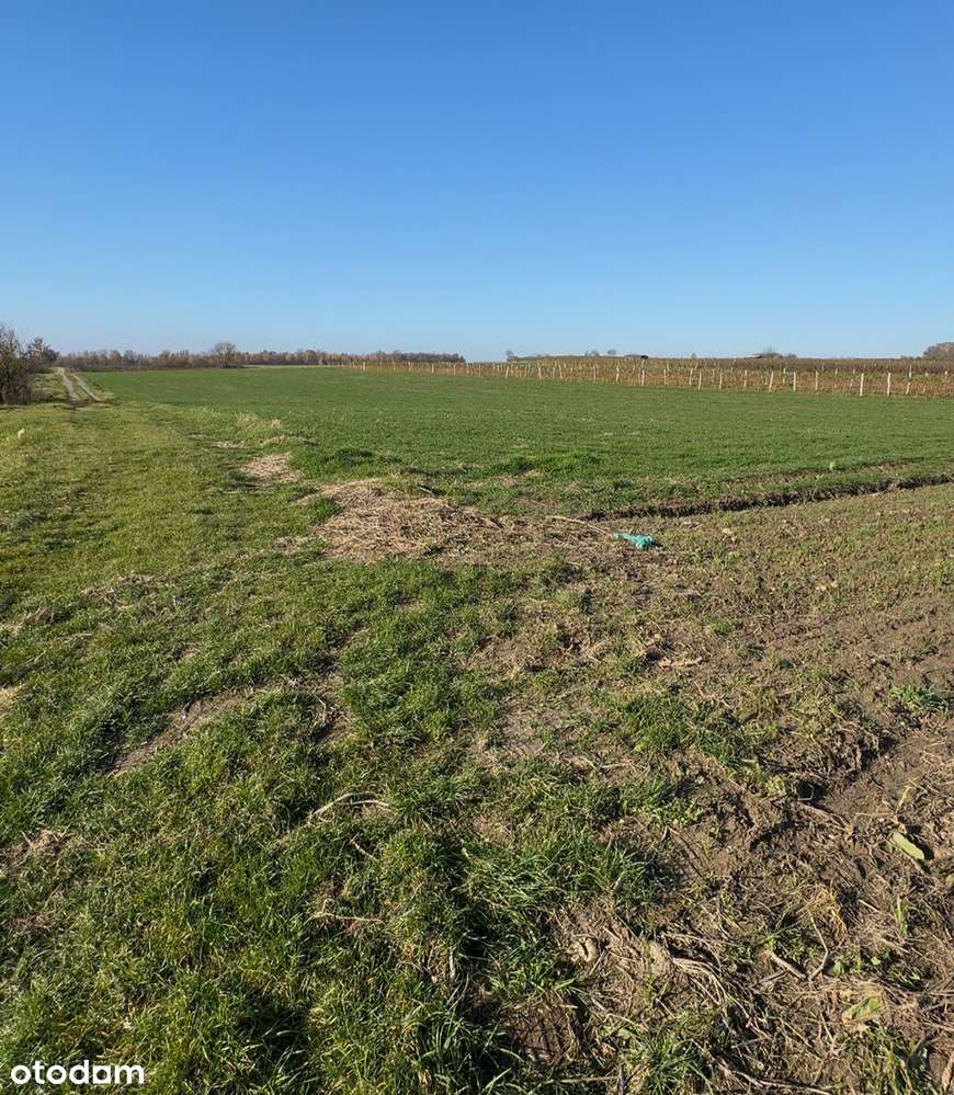 Sprzedam dwie atrakcyjne działki budowlane – 0,2200 ha każda - Pełny obrazek: 4/7