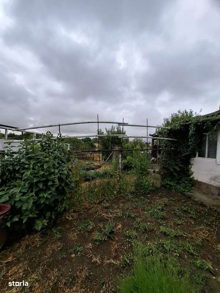 Giarmata – Teren Constructii – Vatra Satului - Imagine principală: 3/6