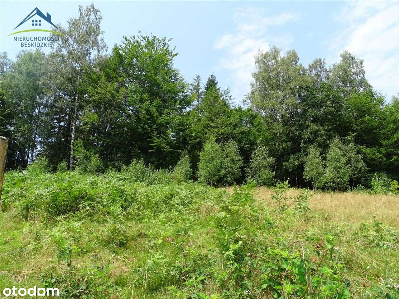 Działka budowlana ponad centrum Wisły!-6