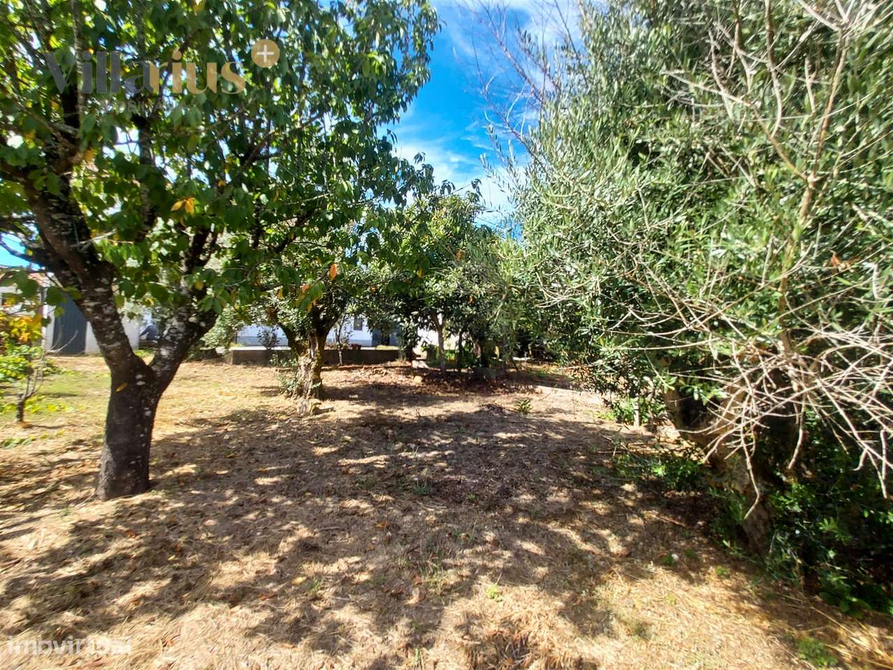 Moradia T3+1 à Venda em Tomar – Espaço e Natureza-46