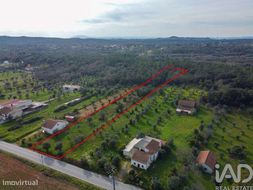 Terreno em Areias e Pias de 5800,00 m2 - Grande imagem: 5/30