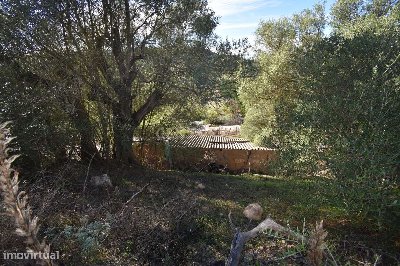 Terreno Rústico com bom acesso perto de Silves - Grande imagem: 5/24