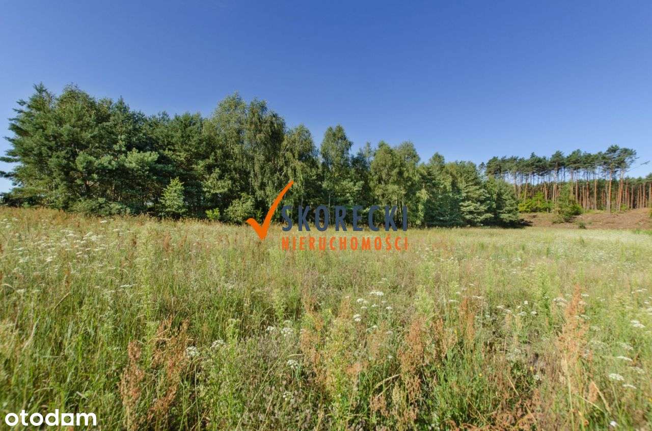 Atrakcyjna Działka Blisko j. Niesłysz! Позвони - Pełny obrazek: 5/14