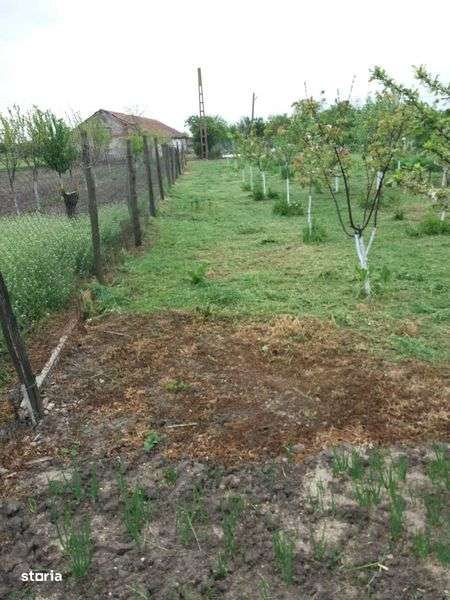 Casa cu teren Cilibia Gara, Buzau - Imagine principală: 5/8