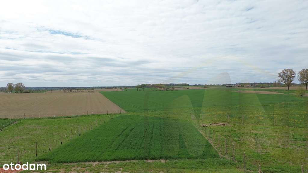 Działka z warunkami zabudowy Zaborowice-1