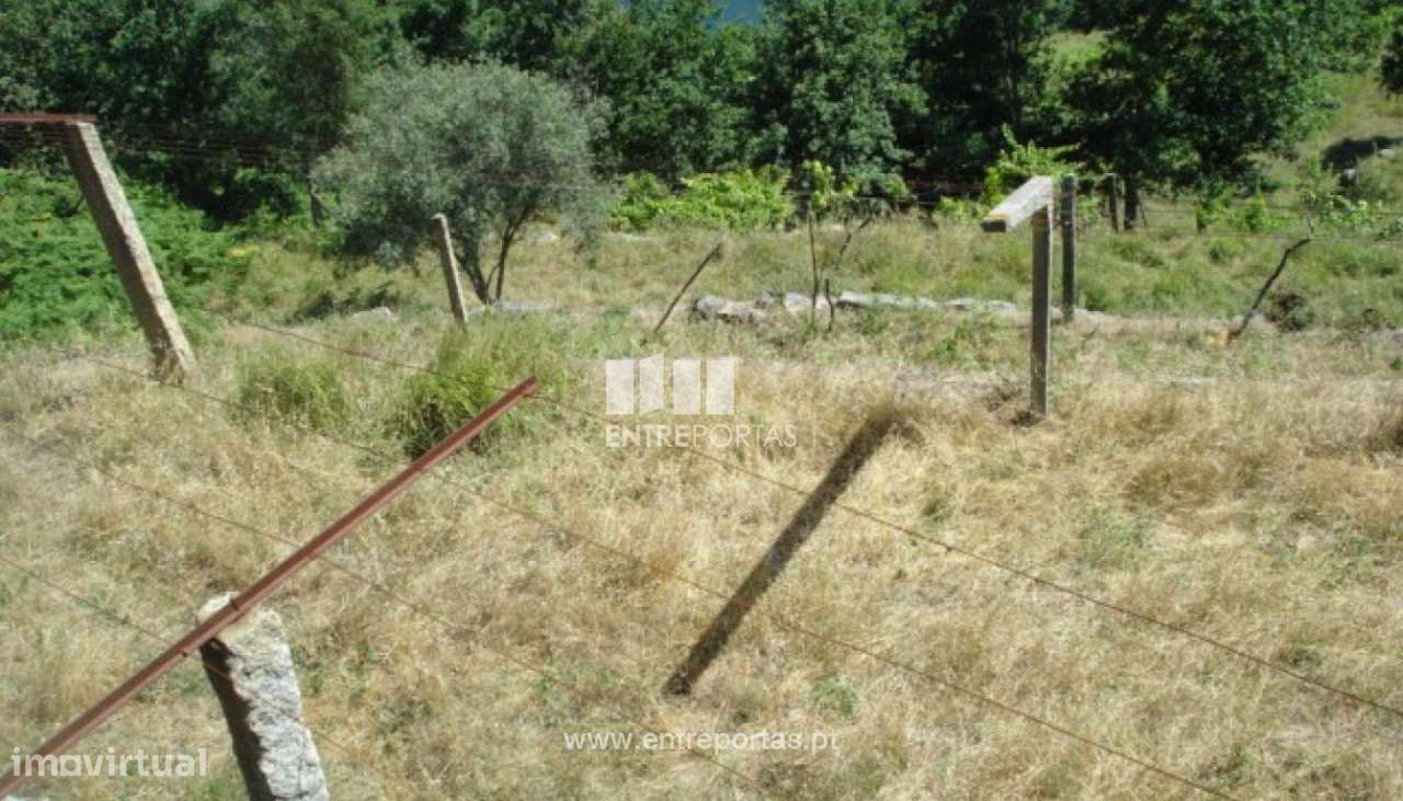 Venda Quinta com Moradia para reconstruir, Magrelos, Marco de Canavese - Grande imagem: 5/12