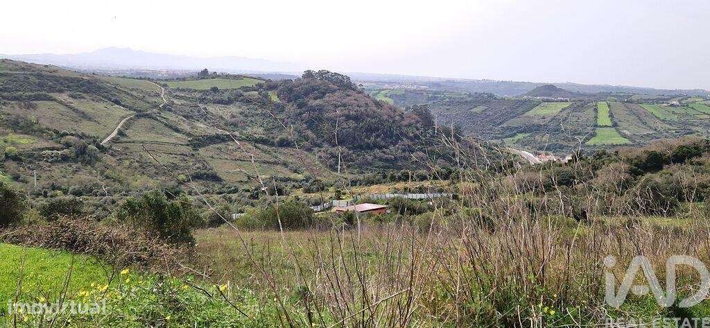 Terreno Agrícola em Ericeira - Grande imagem: 3/35