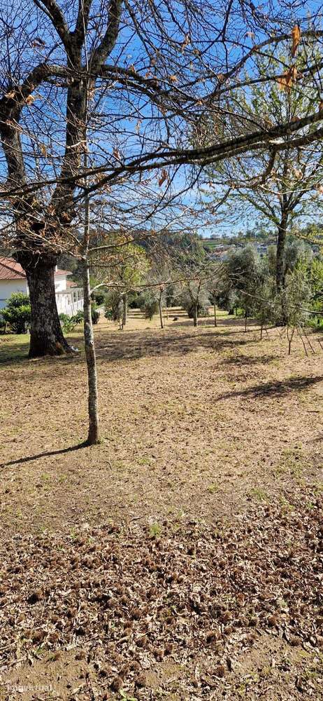 Terreno para moradia em Sarzedelo, Viseu - Grande imagem: 4/6