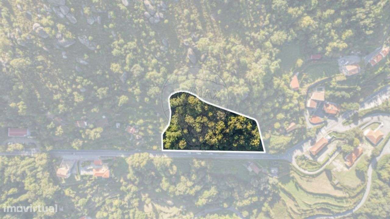 Terreno para construção com mais de 6000m2 em Louredo, Vieira do Minho - Grande imagem: 4/11