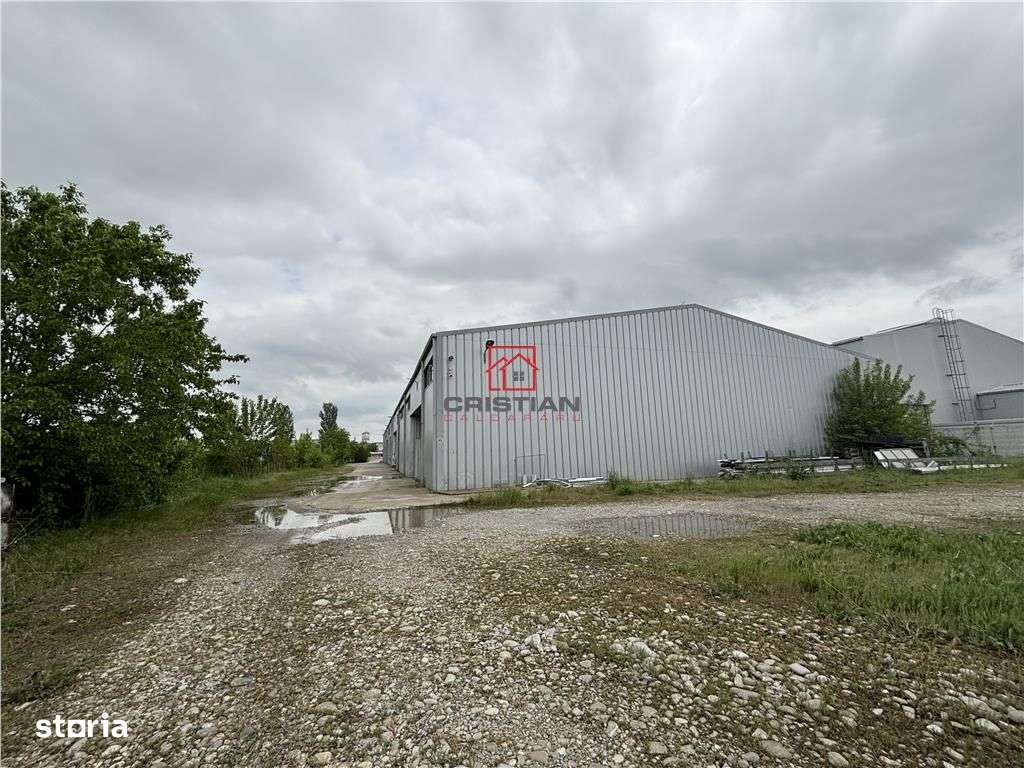 Vanzare depozithalaspatiu industrialshowroombirouri Otopeni - Balotest - Imagine principală: 2/17