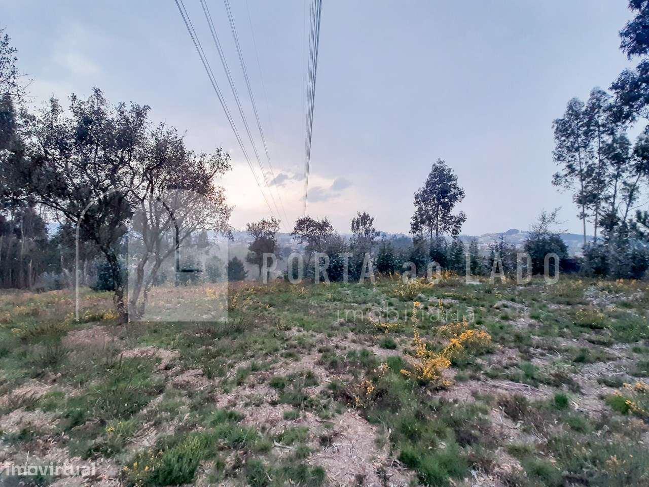 Terreno Rústico em Olival – Vila Nova de Gaia | 8.784m² com excelente - Grande imagem: 5/11