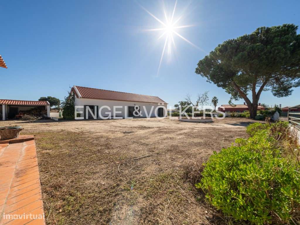 Magnífica Quinta T7 de 7 Hectares e barragem na Branca, Coruche-44