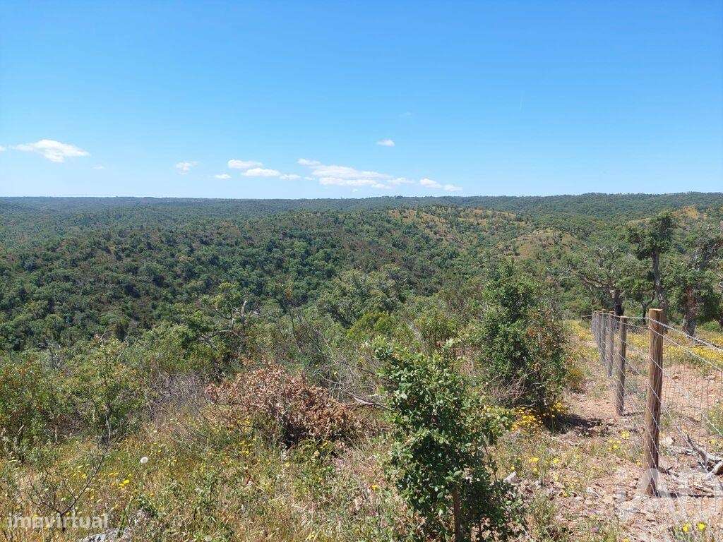 Terreno em Melides de 248300,00 m2 - Grande imagem: 3/13