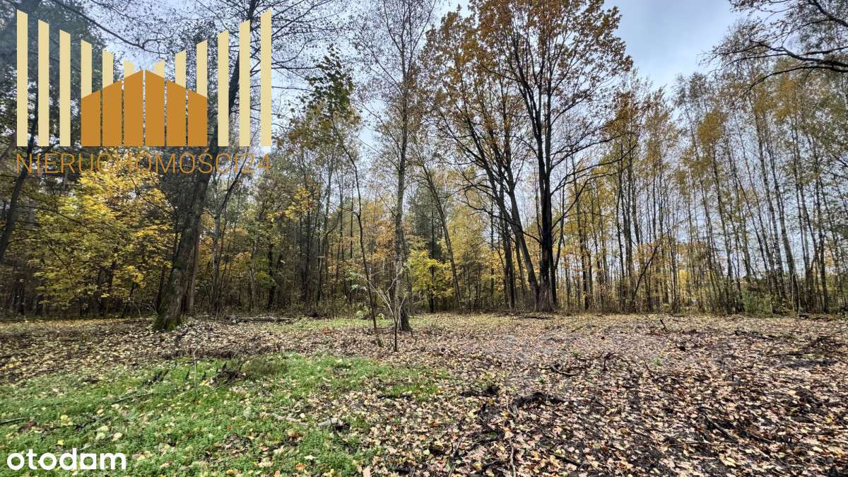 318539 - Pełny obrazek: 4/8