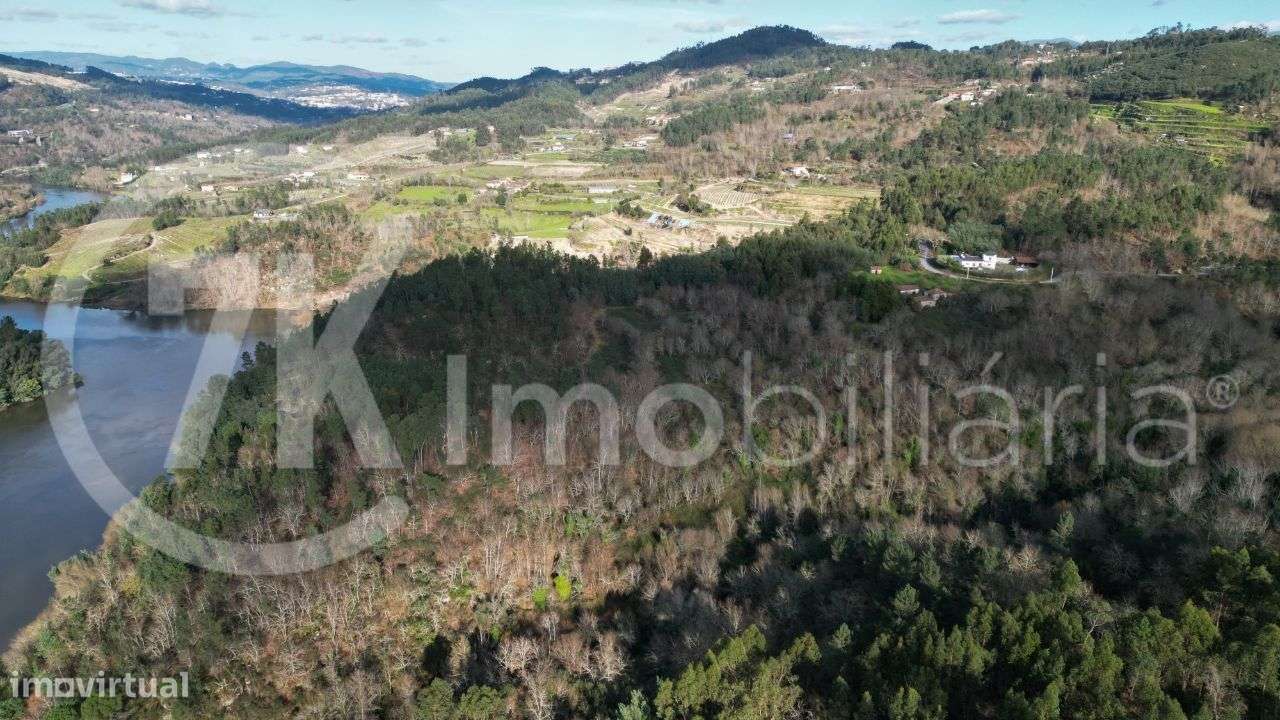 Quinta da Ribeirinha - Várzea, Aliviada e Folhada, - Grande imagem: 5/7