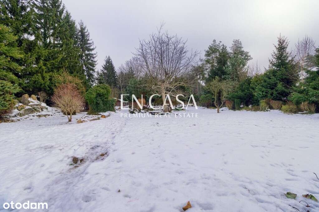 Restauracja przy ruchliwej ulicy.-4