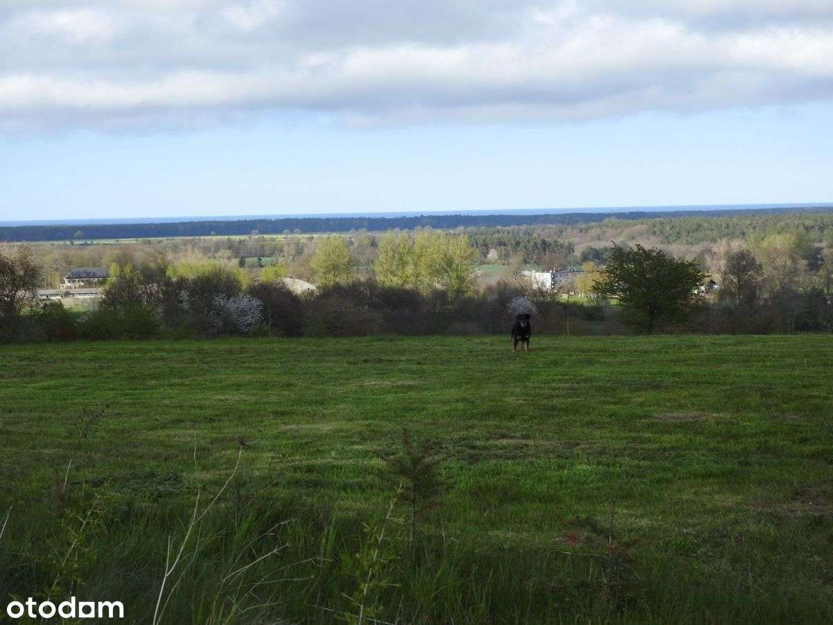 Magiczny widok na morze - Pełny obrazek: 4/12