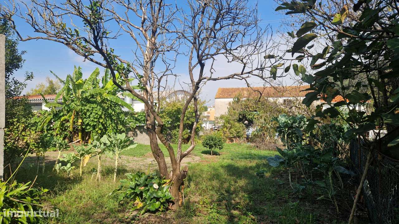 Moradia Térrea para Reconstrução em São Bernardo, Aveiro-23