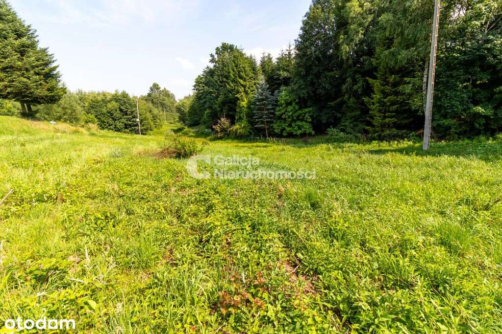 Dziłaka 19 ar w Chmielniku - Pełny obrazek: 4/7