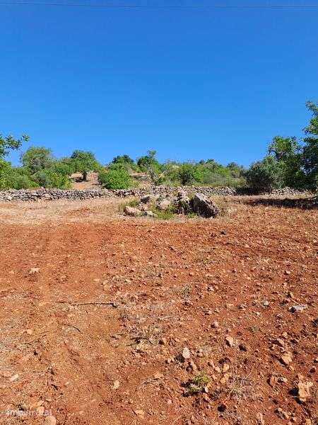 Terreno rústico 27000 - Grande imagem: 2/9