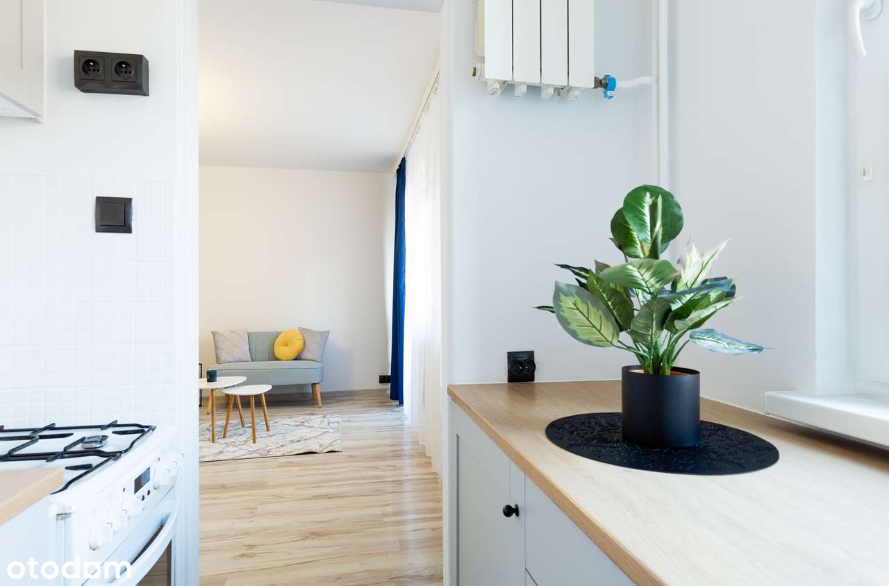 1 piętro || duży balkon || niski czynsz || idealne pod inwestycję-4