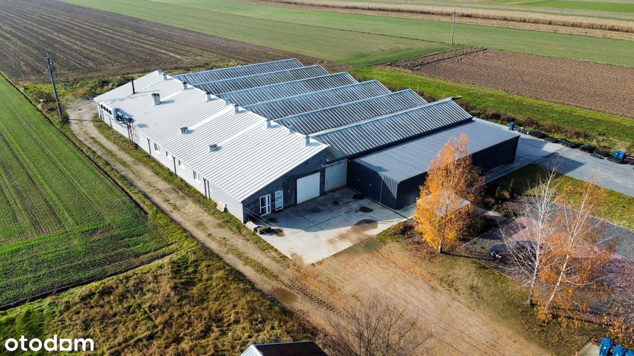 Nowoczesna i wyposażona pieczarkarnia z częścią magazynową – Janowo,-17