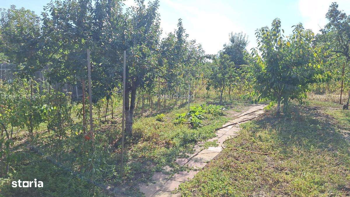 Casa spatioasa de vanzare Buftea, 5 camere, S+P+1E - Imagine principală: 3/9