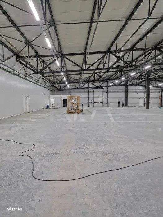 Hala temperatura controlata | Depozitare/Productie | Vidra\Cretesti - Imagine principală: 5/7