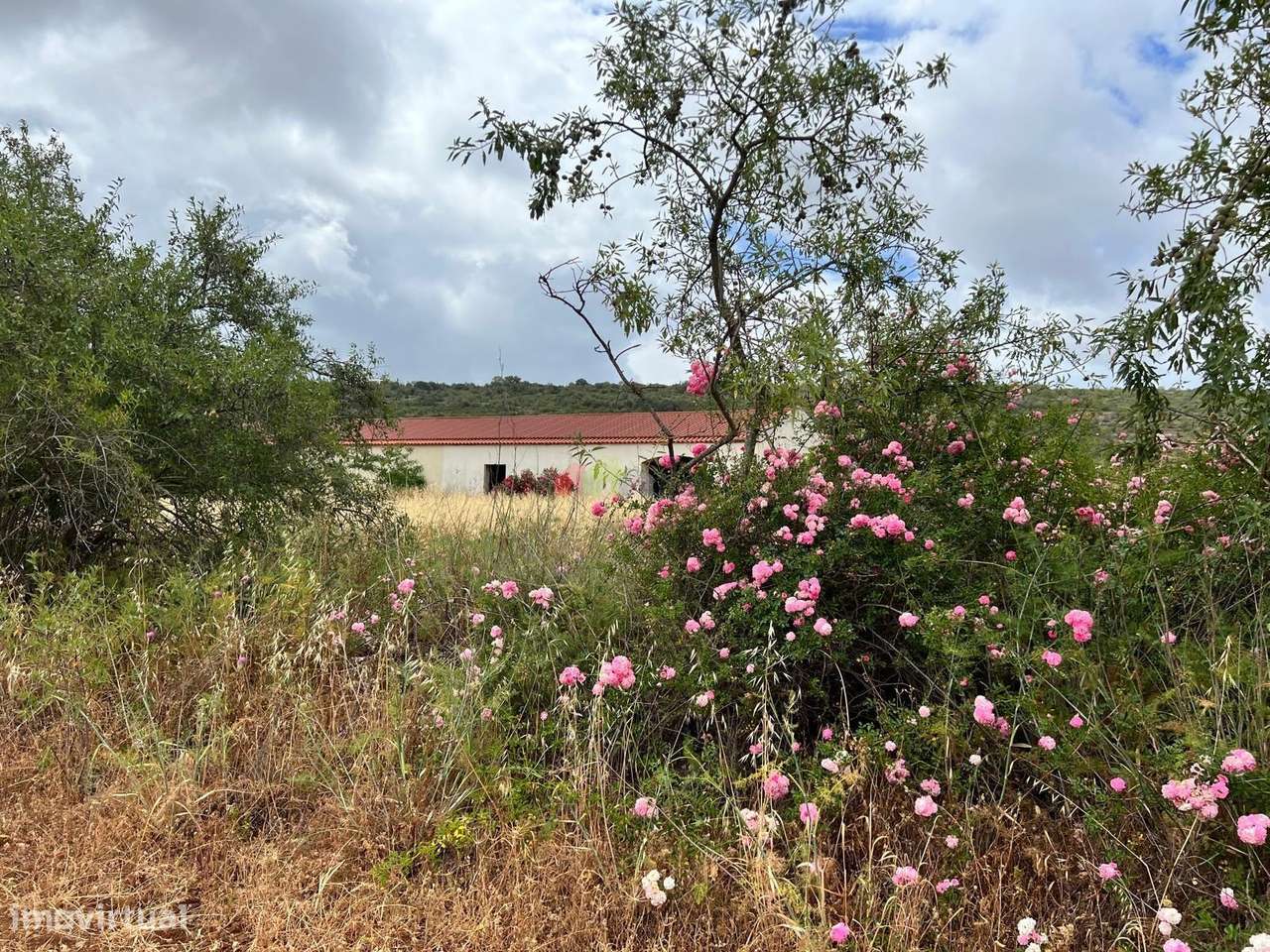 Quinta em Loulé com 9.5 ha com 850 m2 construção-19