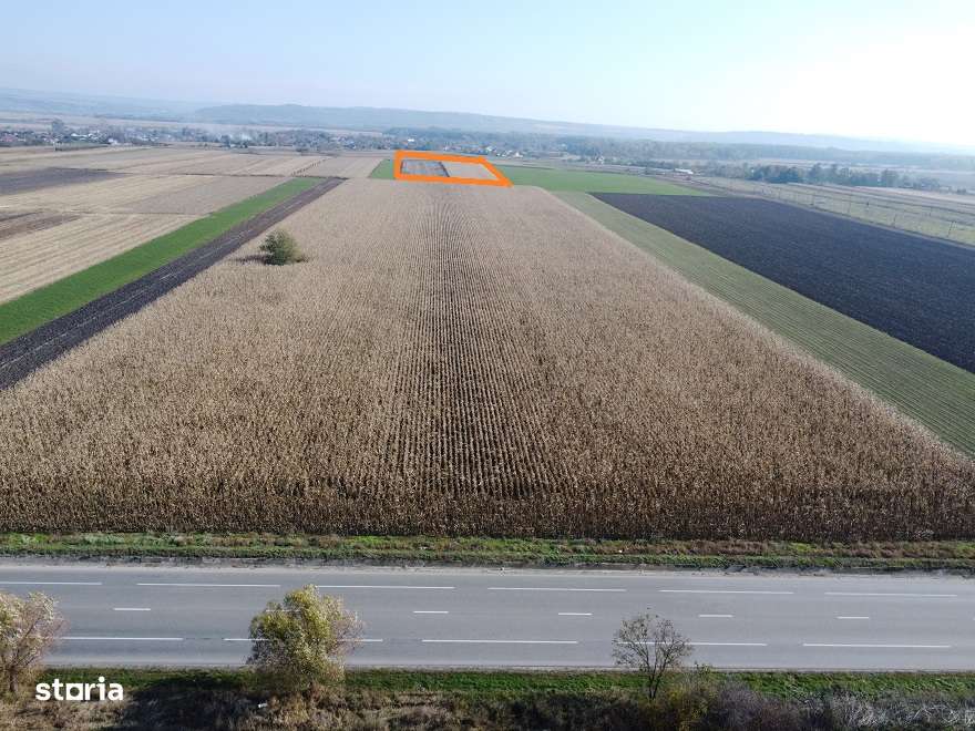 Teren Secuienii Noi /Basta 27900 mp Utilitati 92 ml Deschidere-5