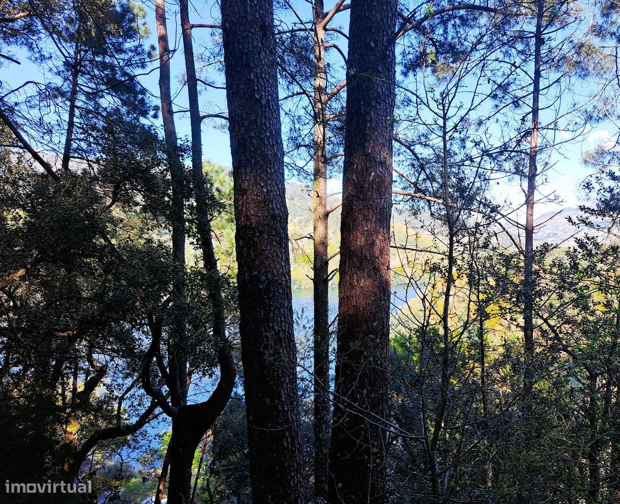 Parque Nacional da Peneda-Gerês, 4 Casas. - Grande imagem: 4/60