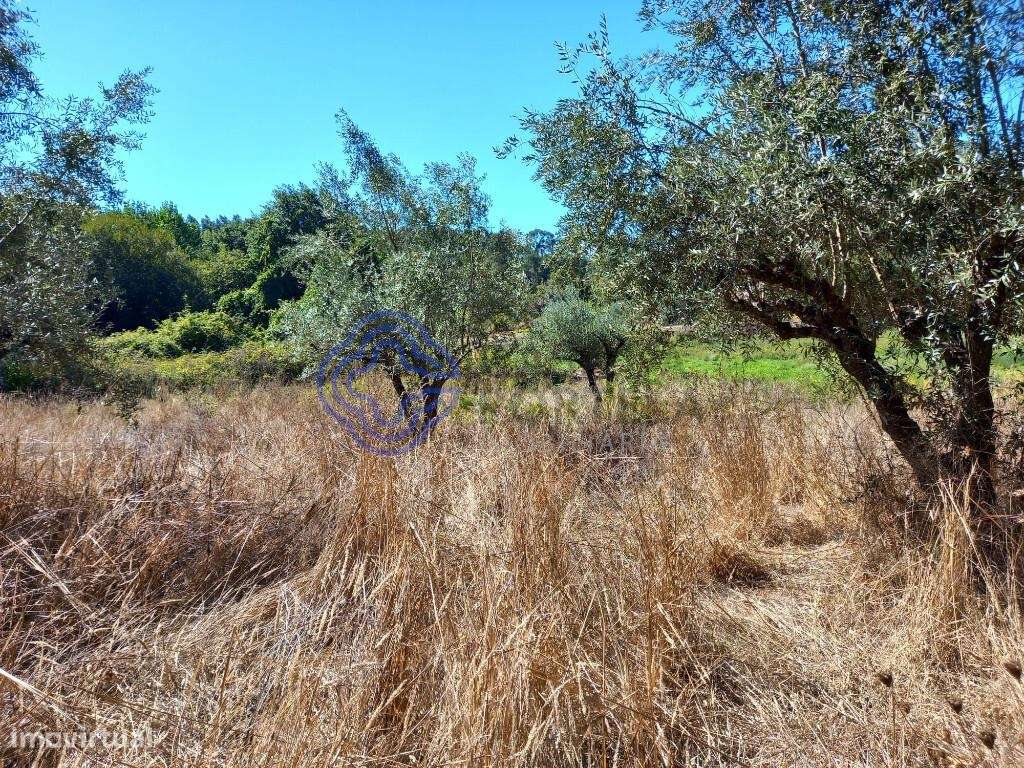 Terreno agrícola com uma ribeira a 10 minutos de Dornes-11