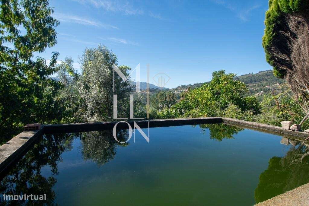 Quinta com casa rural em Baião com 23.720 m2, perfeita para projeto pe - Grande imagem: 3/26