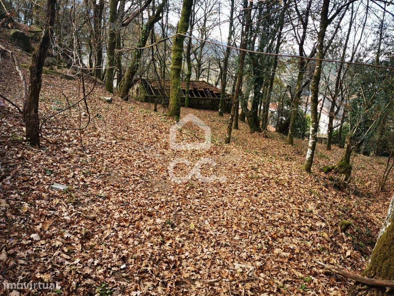 Quinta à venda em Rossas, Vieira do Minho-19