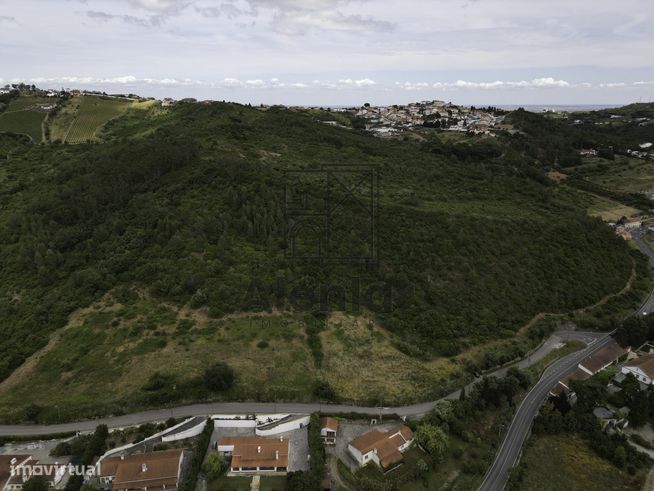 TERRENO MISTO COM 48Ha EM ALENQUER!-16
